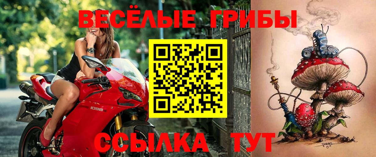 Псилоцибиновые грибы Cubensis  Галлюциногенные грибы Cubensis  Вход с VPN  цена наркотик  Надым 
